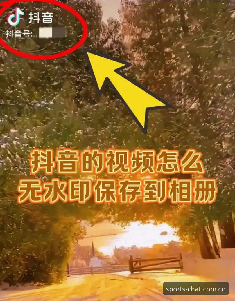 谈球吧体育平台功能与使用教程全面解析：从下载到账户安全的深度解读